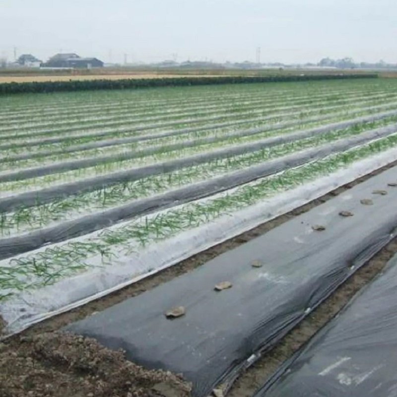 Compostable Agricultural Film Biodegradable Mulch OK Composting Film