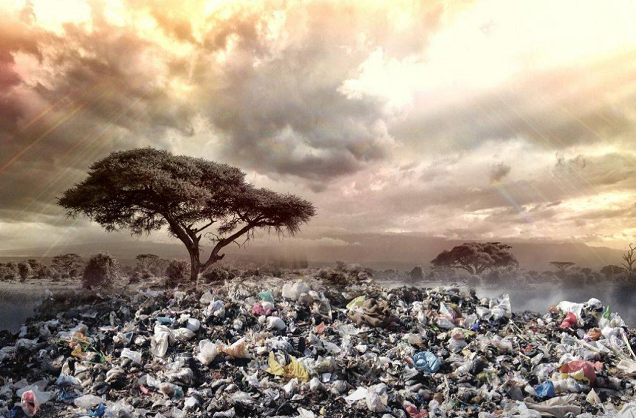 “PLA vs PBAT vs Starch-based? An in-depth look at the true nature of the 3 “biodegradable” plastic b